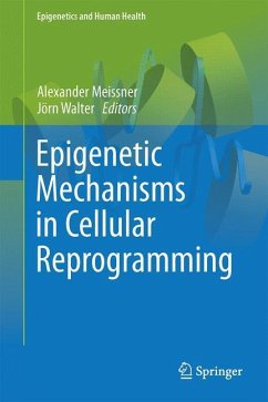 Epigenetic Mechanisms in Cellular Reprogramming