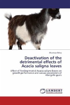 Deactivation of the detrimental effects of Acacia saligna leaves