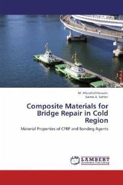 Composite Materials for Bridge Repair in Cold Region