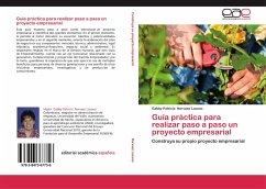 Guía práctica para realizar paso a paso un proyecto empresarial