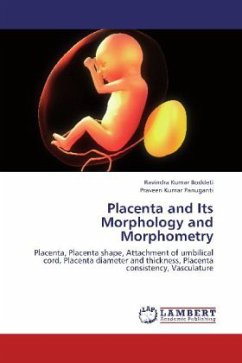 Placenta and Its Morphology and Morphometry