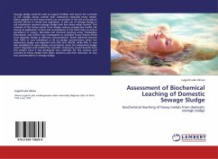 Assessment of Biochemical Leaching of Domestic Sewage Sludge