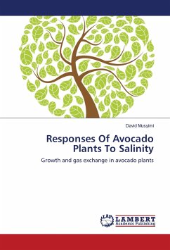 Responses Of Avocado Plants To Salinity