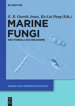Marine Fungi