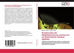 Producción de Staphylococcus aureus en un biorreactor tanque agitado - Ferrari, Miriam;Orejas, Joaquìn