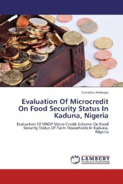 Evaluation Of Microcredit On Food Security Status In Kaduna, Nigeria - Adebayo, Cornelius