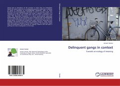 Delinquent gangs in context - Venter, Anneri