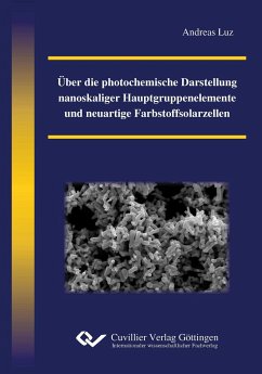 Über die photochemische Darstellung nanoskaliger Hauptgruppenelemente und neuartige Farbstoffsolarzellen - Luz, Andreas