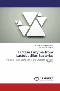 Lactase Enzyme from Lactobacillus Bacteria: