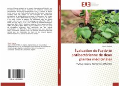 Évaluation de l'activité antibactérienne de deux plantes médicinales - Zeghad, Nadia