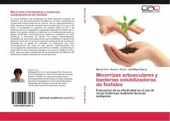 Cover Micorrizas arbusculares y bacterias solubilizadoras de fosfatos