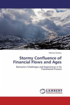 Stormy Confluence of Financial Flows and Ages - Susanu, Monica