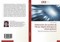 Elaboration de couches de TiN par dépôt chimique en phase gazeuse - de Baynast, Hélène