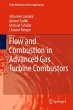Flow and Combustion in Advanced Gas... - Bild 1