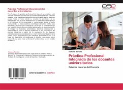 Práctica Profesional Integrada de los docentes universitarios