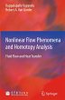 Nonlinear Flow Phenomena and Homotopy... - Bild 1