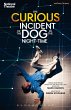 The Curious Incident of the Dog in the... - Bild 1