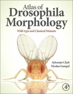 Atlas of Drosophila Morphology - Chyb, Sylwester;Gompel, Nicolas