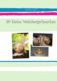 30 kleine Weinbergschnecken - Meyn, Martina