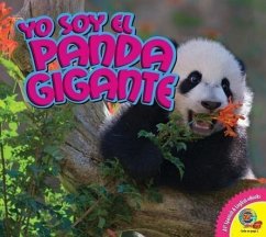 Yo Soy el Panda Gigante, With Code - Macleod, Steve