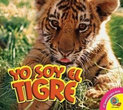 Yo Soy el Tigre, With Code - Macleod, Steve