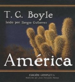 America - Boyle, T. C.; D'Souza, Dinesh