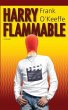 Harry Flammable - Bild 1