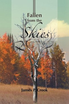 Fallen from the Skies - Crook, James P.