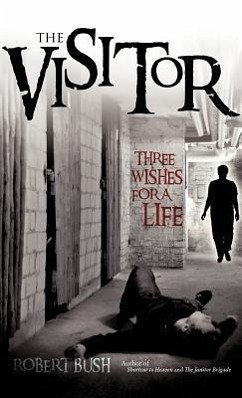 The Visitor - Bush, Robert