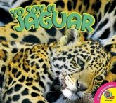 Yo Soy El Jaguar, with Code