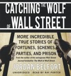 Catching the Wolf of Wall Street: More Incredible True Stories of Fortunes, Schemes, Parties, and Prison