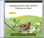 Vogelgezwitscher Ohne Musik 2-Frühling Im Wald