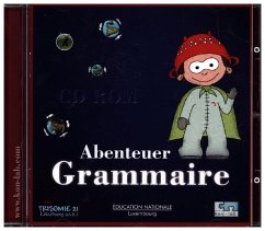 Abenteuer Grammaire, 1 CD-ROM