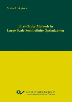 First-Order Methods in Large-Scale Semidenite Optimization - Bürgisser, Michael