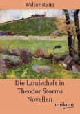 Die Landschaft in Theodor Storms Novellen