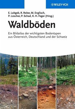 Waldboden - Leitgeb