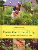From the Ground Up: How Ireland Is Growing Its Own