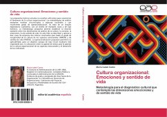 Cultura organizacional: Emociones y sentido de vida