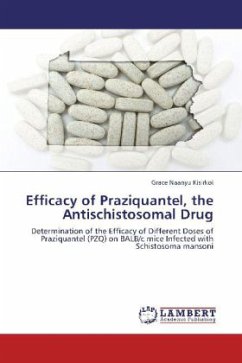 Cover Efficacy of Praziquantel, the Antischistosomal Drug
