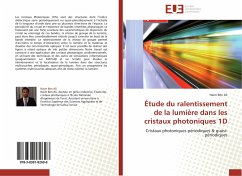 Étude du ralentissement de la lumière dans les cristaux photoniques 1D - Ben Ali, Naim