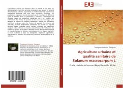 Agriculture urbaine et qualité sanitaire de Solanum macrocarpum L - Dougnon, Tamègnon Victorien