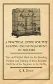 A Practical Guide for the Keeping and Management of Finches - Tips and Helpful Hints for the Breeding, Feeding and Training of These Beautiful Birds