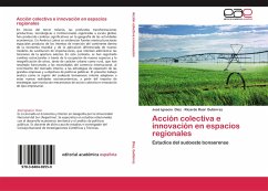 Acción colectiva e innovación en espacios regionales