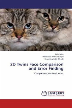 2D Twins Face Comparison and Error Finding