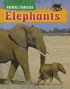 Elephants - Brown Bear Books