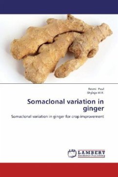 Somaclonal variation in ginger