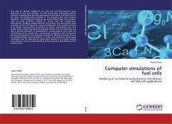 Computer simulations of fuel cells