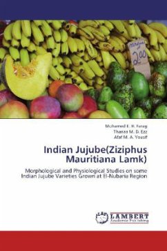 Indian Jujube(Ziziphus Mauritiana Lamk)