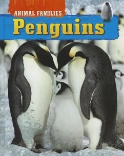 Penguins - Brown Bear Books