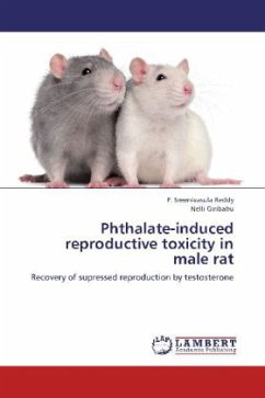 Phthalate-induced reproductive toxicity in male rat